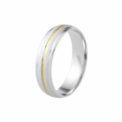 Alianza plata 4mm talla 9